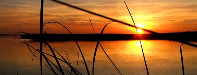 naplemente_tisza_to