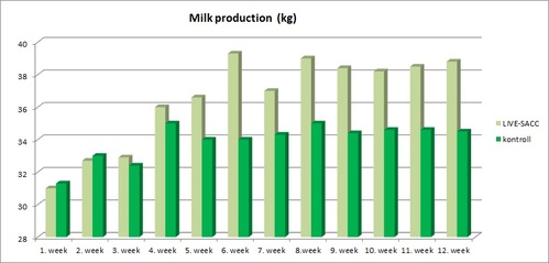milk production live sacc