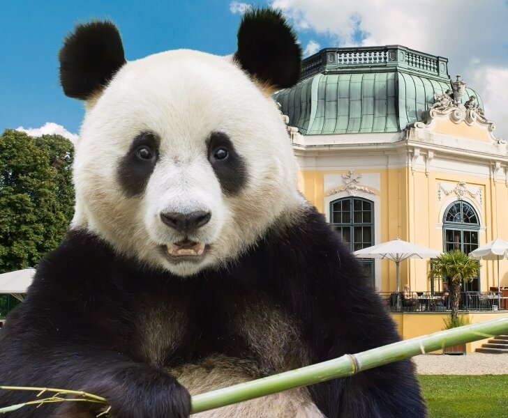 Relaxation and Adventure in One Package – Discover Schönbrunn Zoo!