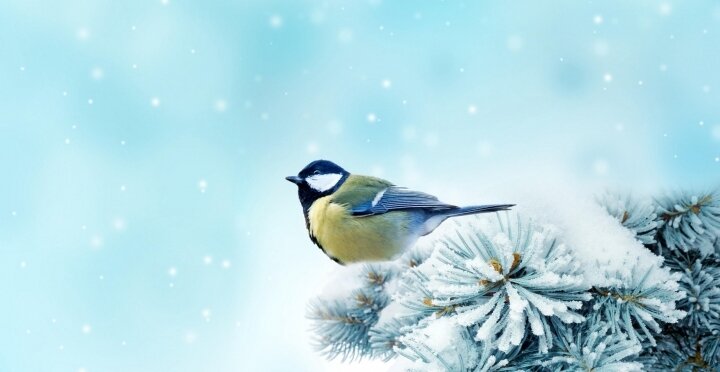 Téli pihentető hétköznapok 2026