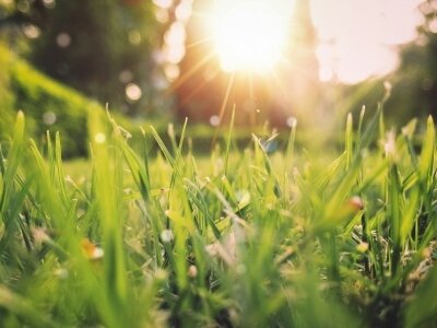 WELLNESS A CSALÁDNAK 2025 TAVASZ