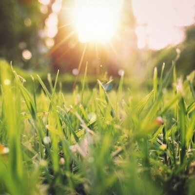 FRÜHLING 2025