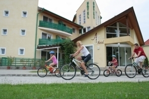 Bicycle renting