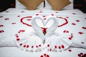 Rosenblätter auf das Bett