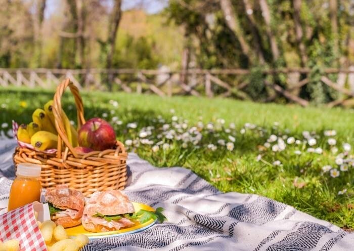 Experiențe de picnic la Lacul Tisa