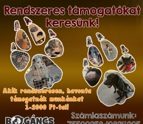 Rendszeres támogatókat keresünk!