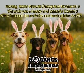 Húsvéti köszöntő