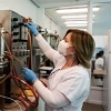 Eu registration of Fumonisin Esterase