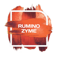 Rumino Zyme® road-show in Argentina