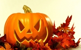 Autumn holiday programmes