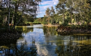 Sástó