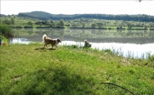 Fishing