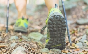 Nordic Walking
