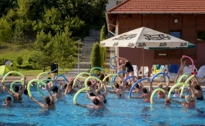 Summer opening programmes