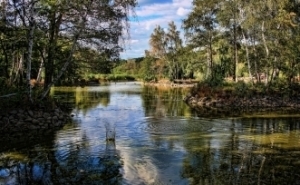 Sástó (Sedge- Lake)