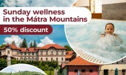 Sunday Wellness at Half Price