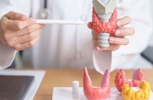 Endokrinologie