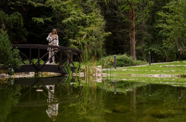 Kutyával Sopronba: erdei nyugalom és wellness a Fagus Hotelben
