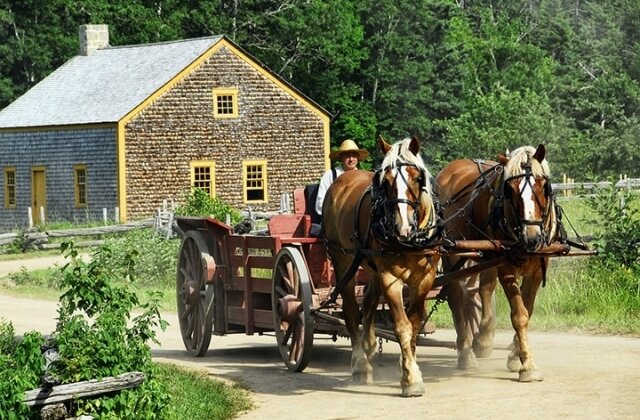 Rural Moments and Horse-Drawn Carriage National Park Visit
