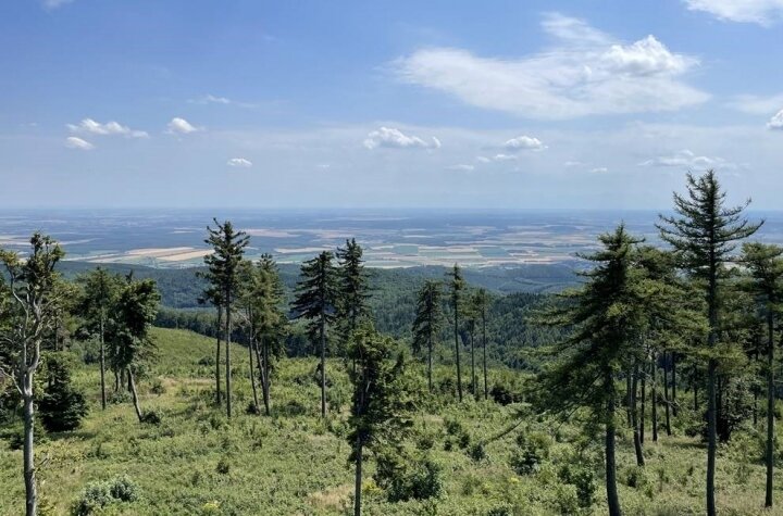 Kép 3