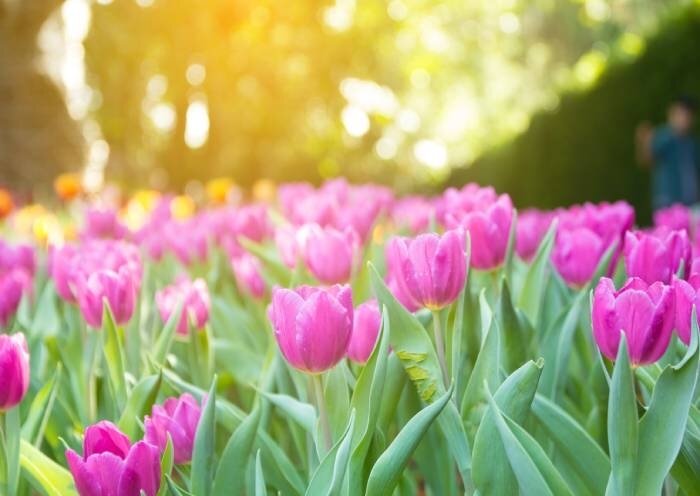 Feiertagswochenende am 1. Mai