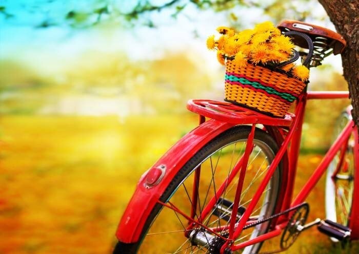 Indian Summer-Stimmung im Fried