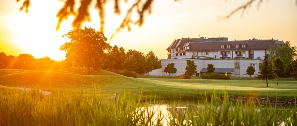 Erdei séta a kőszegi Hét Forrásnál – programtipp a Greenfield Hotelből