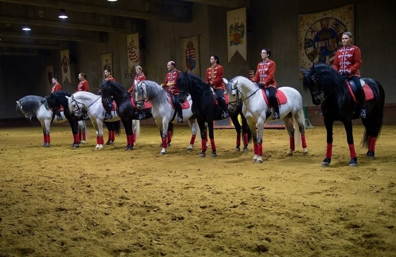 Reiten