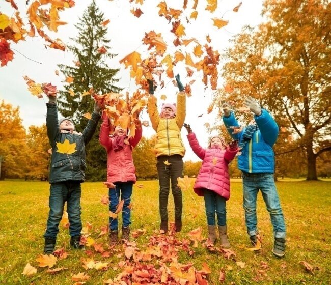Autumn Break