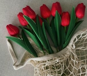 Balsamischer Frühling