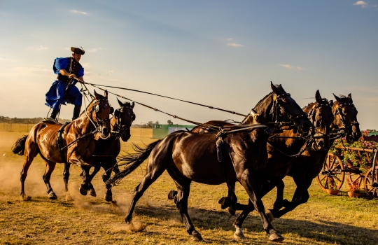 45th Kösely Cup Equestrian Festival