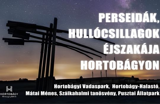 Hullócsillagok Éjszakája