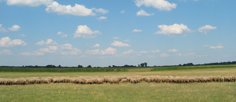 észak alföld látnivalók