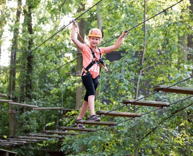 High rope course
