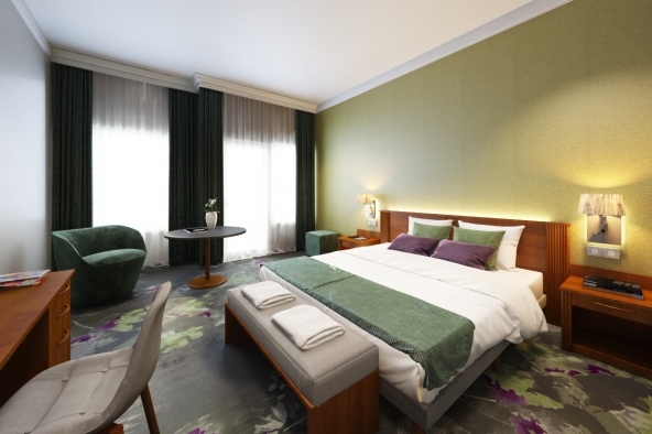 Renovation of the rooms in 2019