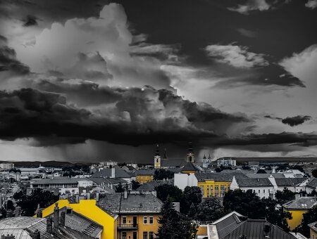 A Kendel Kft. ügyvezetőjének különdíját kapta: 0049-es kép, Bernáth Gábor