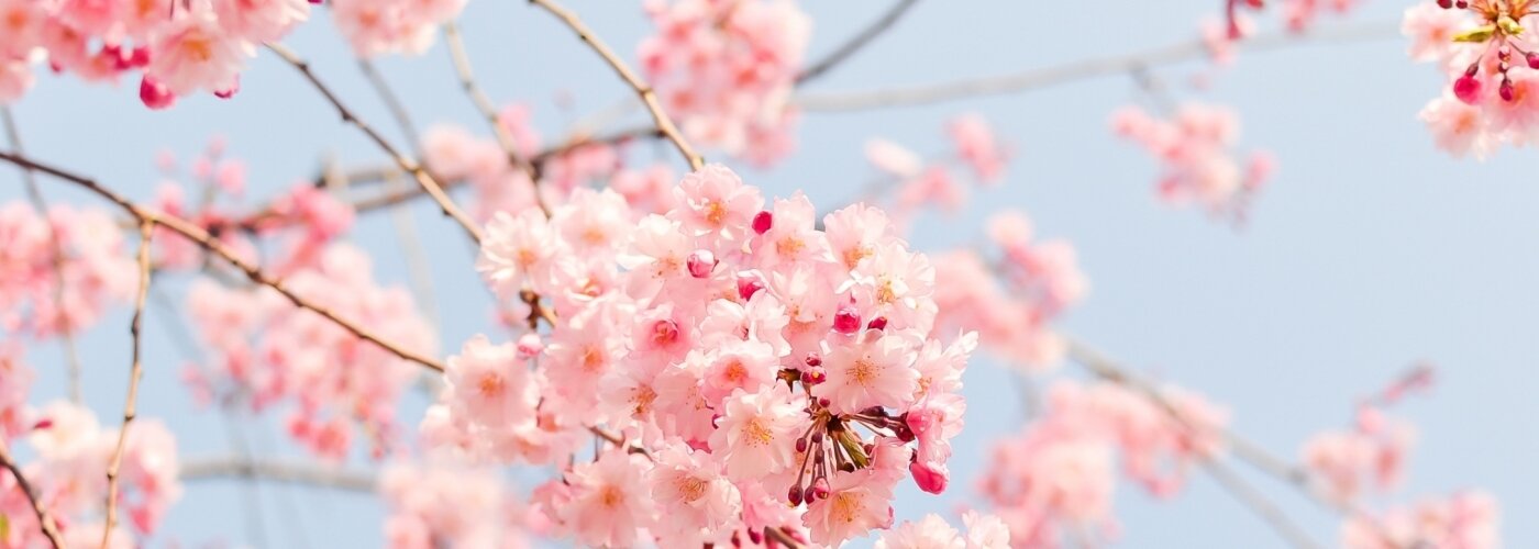 Spring. Chill. Balaton – Spring wellness escape at Lake Balaton Spring. Chill. Balaton – Spring wellness escape at Lake Balaton