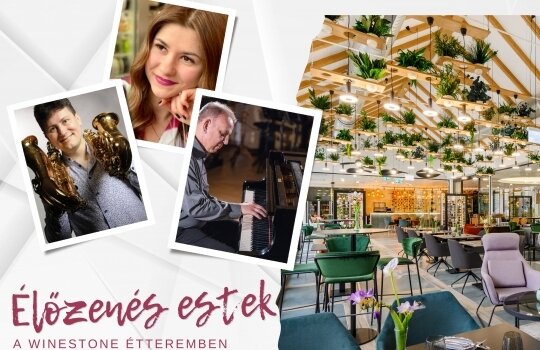 Élőzenés estek