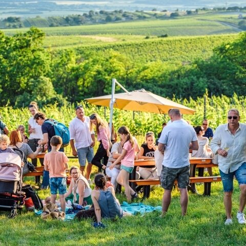 We Love Mór Bortúra 2026