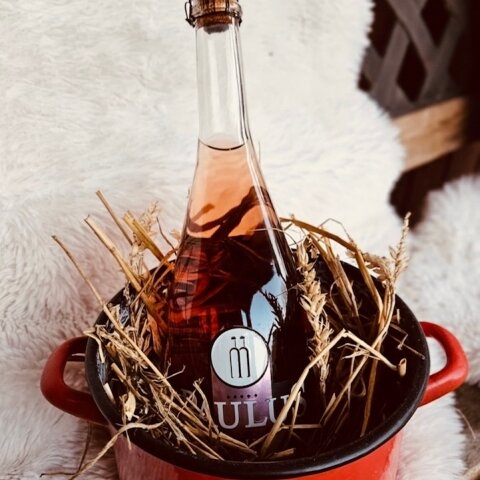 We Love Mór Bortúra 2026 We Love Mór Bortúra 2026