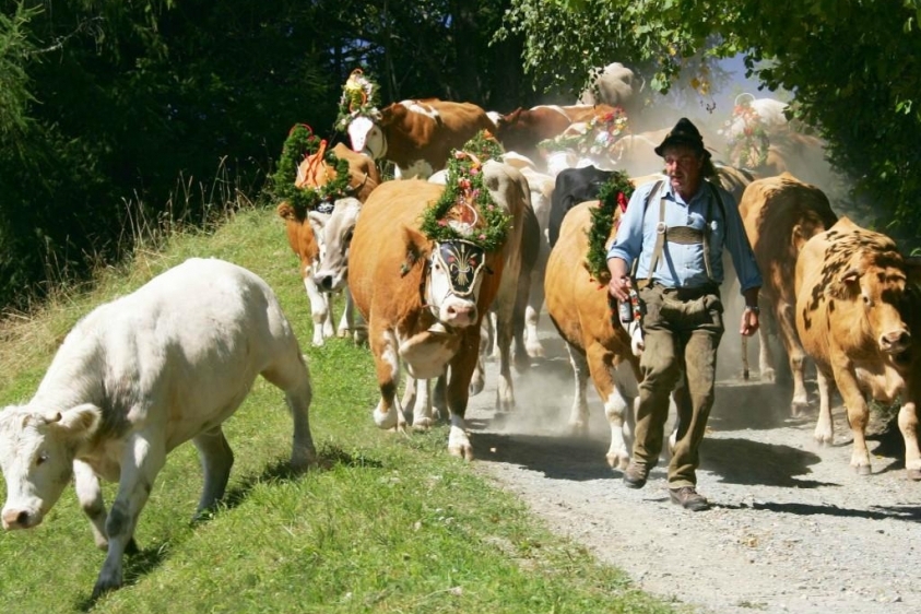 Ünnepi hangulat szeptemberben: Almabtrieb Bad Kleinkirchheimben – ne hagyja ki!