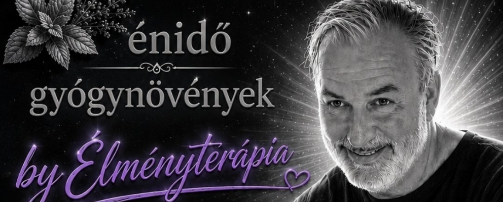 Énidő by Élményterápia