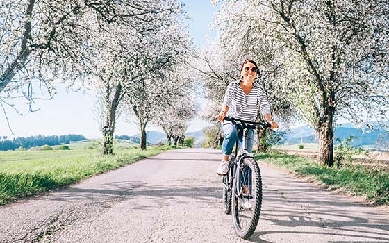 Bicycle rental