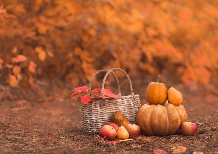 Colourful autumn days