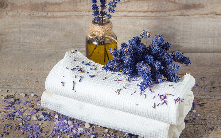 Lavendel-Körperharmonie-Behandlung
