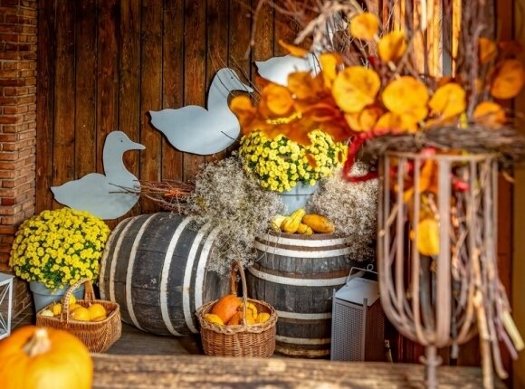 Autumn Wellness Retreat