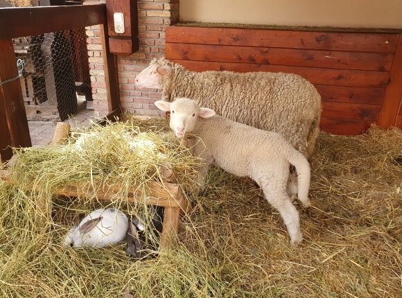 Húsvéti wellness félpanzióval