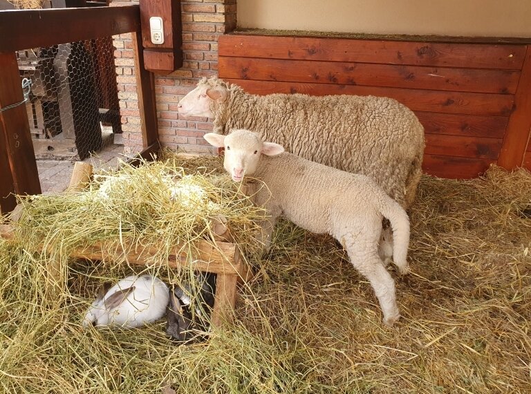 Húsvéti wellness félpanzióval