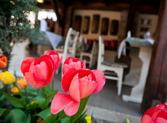 Tavaszi wellness pihenés ajánlat