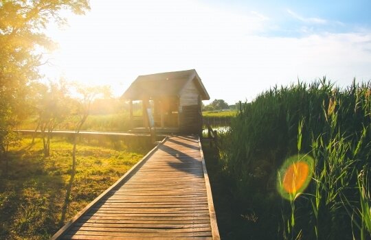 Sóstó Nature Reserve and Visitor Center